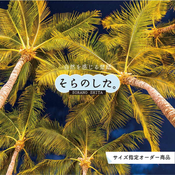 楽天市場 オーダー壁紙 壁紙 ヤシの木 海 写真 おしゃれ 南国風 ハワイアン ビーチ リゾート 海岸 貼りやすい 防カビ 日本製 国産 リメイク 模様替え 店舗 天井 部屋 寝室 キッチン リビング トイレ 風景 景色 ブルー かべがみはるこ そらのした かべがみはる