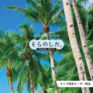 yI[_[ǎz ǎ V̖ C ʐ^  썑 nCA r[` ][g C \₷ hJr { Y CN ͗lւ X V  Q Lb` rO gC