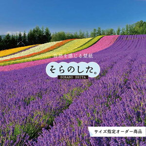 yI[_[ǎz ǎ ʐ^  A x_[  {^jJ p[v \₷ R hJr { Y CN ͗lւ X V  Q Lb` rO gC i i