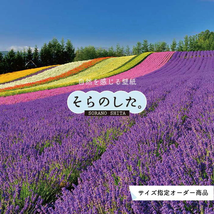 楽天市場 オーダー壁紙 壁紙 写真 花 植物 ラベンダー おしゃれ ボタニカル パープル 貼りやすい 自然 防カビ 日本製 国産 リメイク 模様替え 店 天井 部屋 寝室 キッチン リビング トイレ 風景 景色 かべがみはるこ そらのした かべがみはるこの壁紙工場