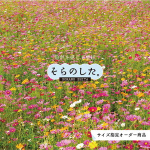 yI[_[ǎz ǎ ʐ^  A RXX  {^jJ Jt \₷ R hJr { Y CN ͗lւ X V  Q Lb` rO gC i iF 