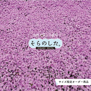 yI[_[ǎz ǎ ʐ^  A ō  {^jJ sN \₷ R hJr { Y CN ͗lւ X V  Q Lb` rO gC i iF ׂ