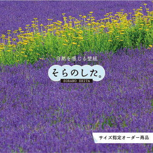 yI[_[ǎz ǎ ʐ^  A x_[  {^jJ p[v \₷ R hJr { Y CN ͗lւ X V  Q Lb` rO gC i i