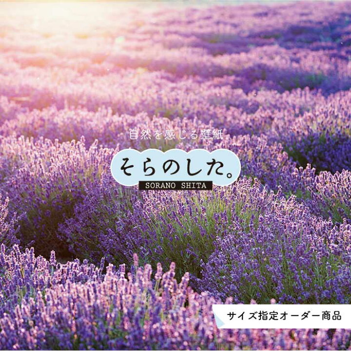 楽天市場 オーダー壁紙 壁紙 写真 花 植物 ラベンダー おしゃれ ボタニカル パープル 貼りやすい 自然 防カビ 日本製 国産 リメイク 模様替え 店 天井 部屋 寝室 キッチン リビング トイレ 風景 景色 かべがみはるこ そらのした かべがみはるこの壁紙工場 楽天市場 オーダー壁紙 壁紙 写真 花 植物 ラベンダー おしゃれ ボタニカル パープル 貼りやすい 自然 防カビ 日本製 国産 リメイク 模様替え 店 天井 部屋 寝室 キッチン リビング トイレ 風景 景色 かべがみはるこ そらのした かべがみはるこの壁紙工場