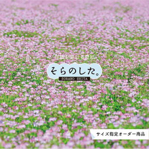 花 壁紙 ピンク 壁材の人気商品 通販 価格比較 価格 Com