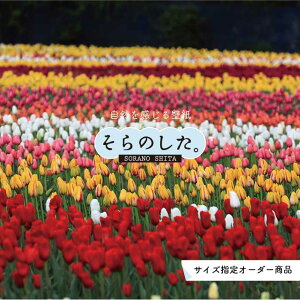 yI[_[ǎz ǎ ʐ^  A `[bv  {^jJ Jt \₷ R hJr { Y CN ͗lւ X V  Q Lb` rO gC i 