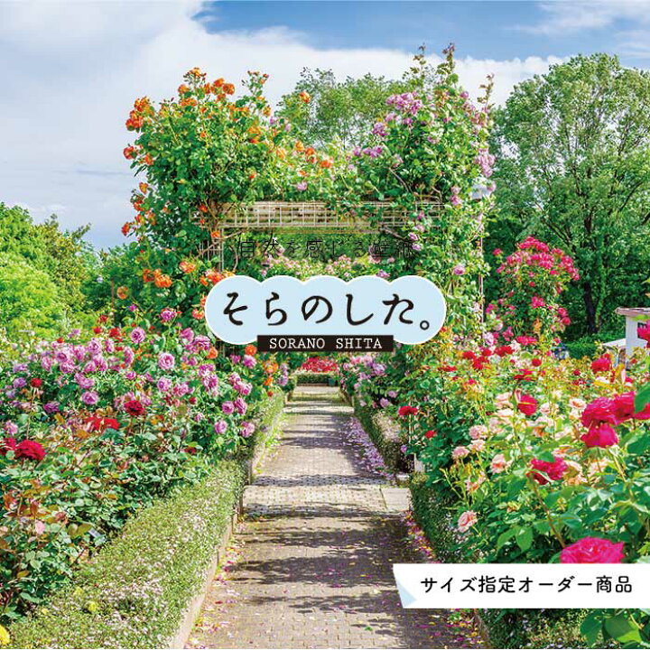 楽天市場 オーダー壁紙 壁紙 写真 花 植物 バラ ガーデン おしゃれ ボタニカル 貼りやすい 自然 防カビ 日本製 国産 リメイク 模様替え 店 天井 部屋 寝室 キッチン リビング トイレ 風景 景色 かべがみはるこ そらのした かべがみはるこの壁紙工場