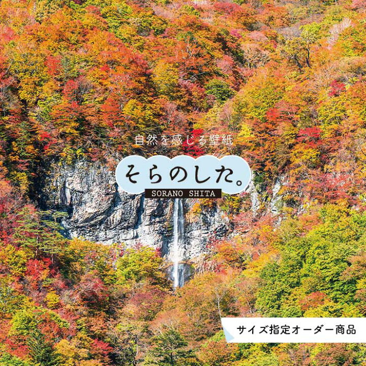 楽天市場 オーダー壁紙 壁紙 紅葉 秋 季節 森林 写真 おしゃれ 自然 貼りやすい デザイン 防カビ 日本製 国産 リメイク 模様替え 店 天井 部屋 寝室 キッチン リビング トイレ 秋景 景色 赤 黄 かべがみはるこ そらのした Ss かべがみはるこの壁紙工場