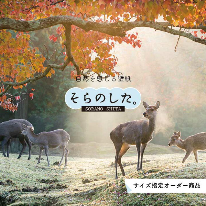 楽天市場 オーダー壁紙 壁紙 動物 鹿 秋 紅葉 森林 写真 おしゃれ 貼りやすい デザイン 防カビ 国産 日本製 リメイク 模様替え 店 天井 部屋 寝室 キッチン リビング トイレ 風景 景色 かべがみはるこ そらのした かべがみはるこの壁紙工場