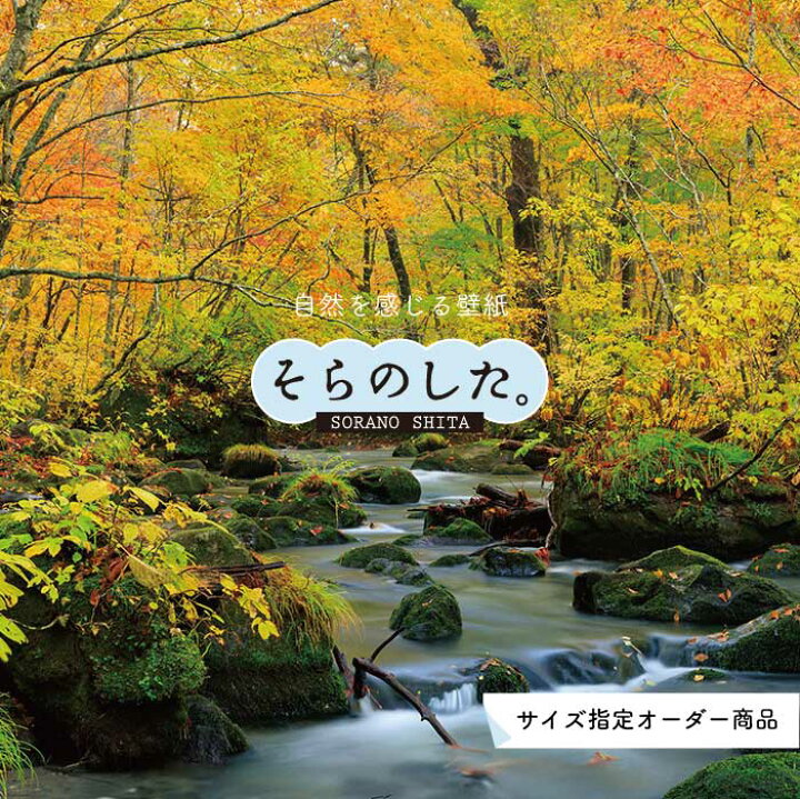 楽天市場 オーダー壁紙 壁紙 紅葉 秋 季節 森林 写真 おしゃれ 自然 貼りやすい デザイン 防カビ 日本製 国産 リメイク 模様替え 店 天井 部屋 寝室 キッチン リビング トイレ 秋景 景色 赤 黄 かべがみはるこ そらのした Ss かべがみはるこの壁紙工場
