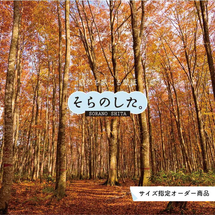 楽天市場 オーダー壁紙 壁紙 紅葉 秋 季節 森林 写真 おしゃれ 自然 貼りやすい デザイン 防カビ 日本製 国産 リメイク 模様替え 店 天井 部屋 寝室 キッチン リビング トイレ 秋景 景色 赤 黄 かべがみはるこ そらのした Ss かべがみはるこの壁紙工場