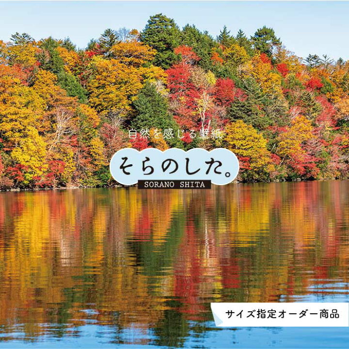 楽天市場 オーダー壁紙 壁紙 紅葉 秋 季節 森林 写真 おしゃれ 自然 貼りやすい デザイン 防カビ 日本製 国産 リメイク 模様替え 店 天井 部屋 寝室 キッチン リビング トイレ 秋景 景色 赤 黄 かべがみはるこ そらのした Ss かべがみはるこの壁紙工場