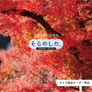 yI[_[ǎz ǎ gt H G X ʐ^  R \₷ fUC hJr { Y CN ͗lւ X V  Q Lb` rO gC Hi iF   