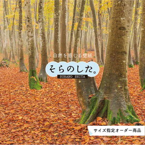 おしゃれ 秋 壁紙の人気商品 通販 価格比較 価格 Com