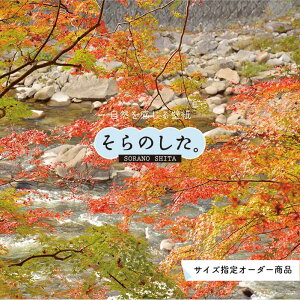 【オーダー壁紙】 壁紙 紅葉 秋 季節 森林 写真 おしゃれ 自然 貼りやすい デザイン 防カビ 日本製 国産 リメイク 模様替え 店 天井 部屋 寝室 キッチン リビング トイレ 秋景 景色 赤 黄 かべ