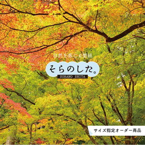 おしゃれ 秋 壁紙の人気商品 通販 価格比較 価格 Com