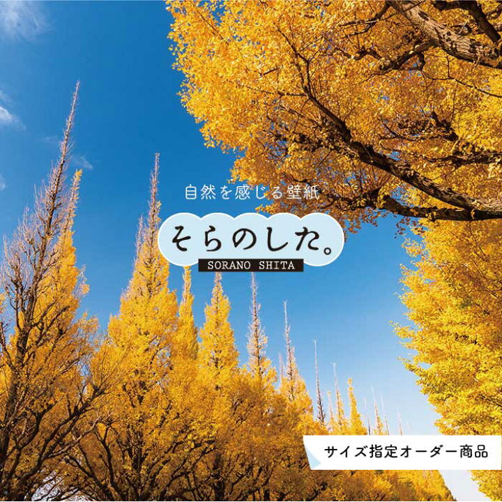 楽天市場 オーダー壁紙 壁紙 紅葉 秋 季節 森林 写真 おしゃれ 自然 貼りやすい デザイン 防カビ 日本製 国産 リメイク 模様替え 店 天井 部屋 寝室 キッチン リビング トイレ 秋景 景色 赤 黄 かべがみはるこ そらのした Ss170 かべがみはるこの壁紙工場