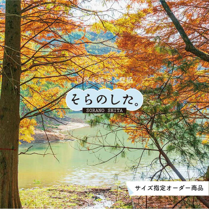 楽天市場 オーダー壁紙 壁紙 紅葉 秋 季節 森林 写真 おしゃれ 自然 貼りやすい デザイン 防カビ 日本製 国産 リメイク 模様替え 店 天井 部屋 寝室 キッチン リビング トイレ 秋景 景色 赤 黄 かべがみはるこ そらのした Ss かべがみはるこの壁紙工場 楽天市場 オーダー壁紙 壁紙 紅葉 秋 季節 森林 写真 おしゃれ 自然 貼りやすい デザイン 防カビ 日本製 国産 リメイク 模様替え 店 天井 部屋 寝室 キッチン リビング トイレ 秋景 景色 赤 黄 かべがみはるこ そらのした Ss かべがみはるこの壁紙工場