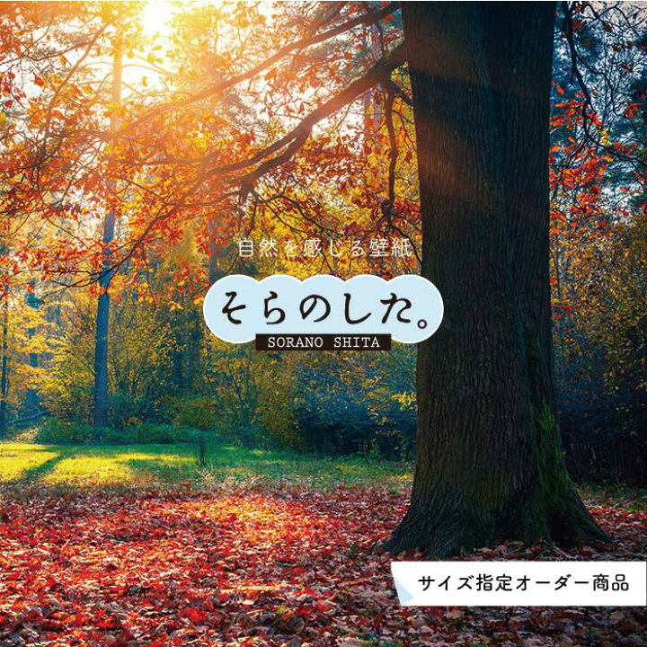 楽天市場 オーダー壁紙 壁紙 紅葉 秋 季節 森林 写真 おしゃれ 自然 貼りやすい デザイン 防カビ 日本製 国産 リメイク 模様替え 店 天井 部屋 寝室 キッチン リビング トイレ 秋景 景色 赤 黄 かべがみはるこ そらのした Ss かべがみはるこの壁紙工場