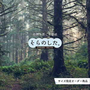 yI[_[ǎz ǎ WO X X ʐ^  R  \₷ fUC hJr { Y CN ͗lւ X V  Q Lb` rO gC i iF O