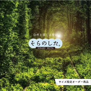【オーダー壁紙】 壁紙 ジャングル 森 森林 写真 おしゃれ 自然 癒し 貼りやすい デザイン 防カビ 日本製 国産 リメイク 模様替え 店舗 天井 部屋 寝室 キッチン リビング トイレ 風景 景色 グ