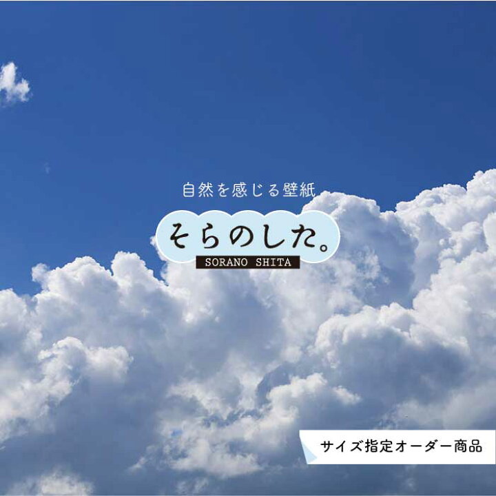 楽天市場 オーダー壁紙 壁紙 空 おしゃれ 写真 自然 雲 スカイ クラウド 癒し 貼りやすい デザイン 防カビ 日本製 国産 リメイク 模様替え 店舗 天井 部屋 寝室 キッチン リビング トイレ 美しい 風景 景色 白 ブルー かべがみはるこ そらのした