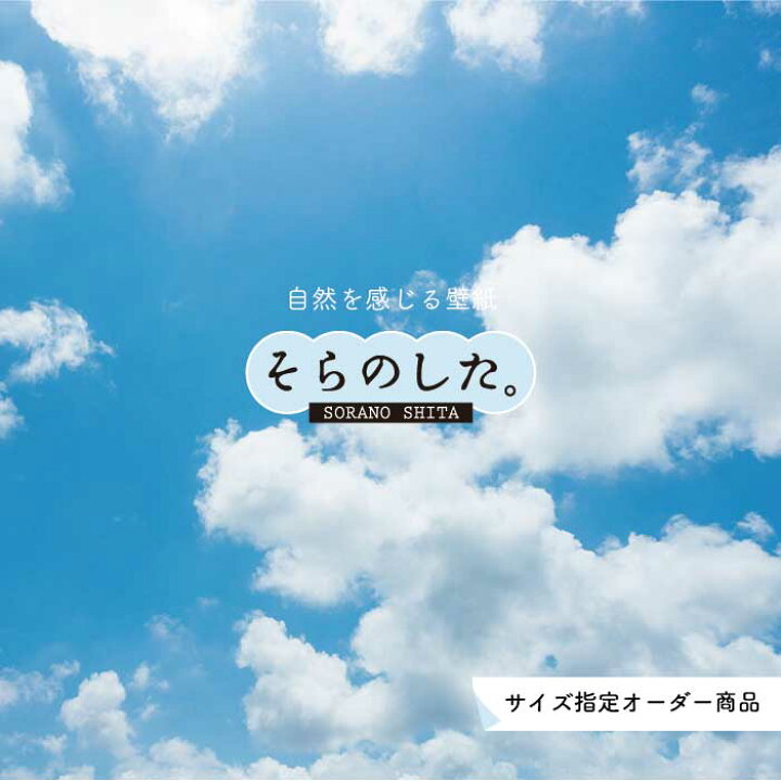 楽天市場 オーダー壁紙 壁紙 空 おしゃれ 写真 自然 雲 スカイ クラウド 癒し 貼りやすい デザイン 防カビ 日本製 国産 リメイク 模様替え 店舗 天井 部屋 寝室 リビング トイレ 美しい 風景 景色 白 ブルー かべがみはるこ そらのした かべがみはるこの壁紙工場