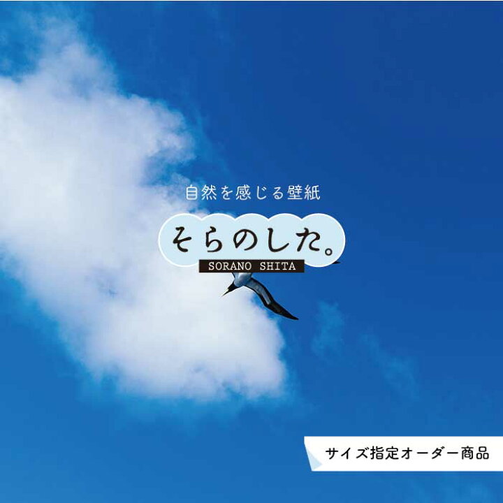 楽天市場 オーダー壁紙 壁紙 空 おしゃれ 写真 自然 雲 スカイ クラウド 癒し 貼りやすい デザイン 防カビ 日本製 国産 リメイク 模様替え 店舗 天井 部屋 寝室 キッチン リビング トイレ 美しい 風景 景色 白 ブルー かべがみはるこ そらのした