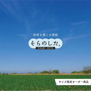 yI[_[ǎz ǎ  ʐ^  R O[     _ JI \₷ fUC hJr { Y CN ͗lւ X V  Q Lb` rO g