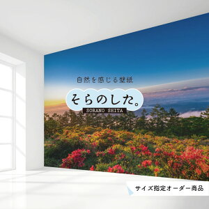 yI[_[ǎz ǎ _C   ʐ^ R _ XJC NEh _̏  \₷ fUC hJr { Y CN ͗lւ X V  Q Lb` rO gC