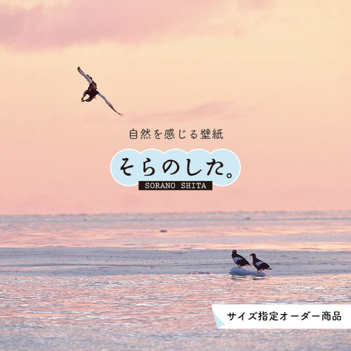 楽天市場 オーダー壁紙 壁紙 海 夕陽 写真 おしゃれ 自然 ビーチ リゾート 海岸 砂浜 夕日 夕方 貼りやすい デザイン 防カビ 日本製 国産 リメイク 模様替え 店舗 内装 部屋 寝室 キッチン リビング トイレ 風景 景色 ピンク かべがみはるこ そらのした