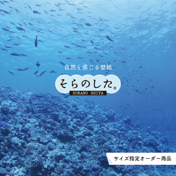 楽天市場 オーダー壁紙 壁紙 海の中 水中 ダイビング サンゴ 熱帯魚 サンゴ礁 写真 おしゃれ 自然 幻想的 貼りやすい デザイン 防カビ 日本製 国産 リメイク 模様替え 店舗 天井 部屋 寝室 キッチン リビング トイレ 風景 景色 ブルー かべがみはるこ そらのした 楽天市場 オーダー壁紙 壁紙 海の中 水中 ダイビング サンゴ 熱帯魚 サンゴ礁 写真 おしゃれ 自然 幻想的 貼りやすい デザイン 防カビ 日本製 国産 リメイク 模様替え 店舗 天井 部屋 寝室 キッチン リビング トイレ 風景 景色 ブルー かべがみはるこ そらのした