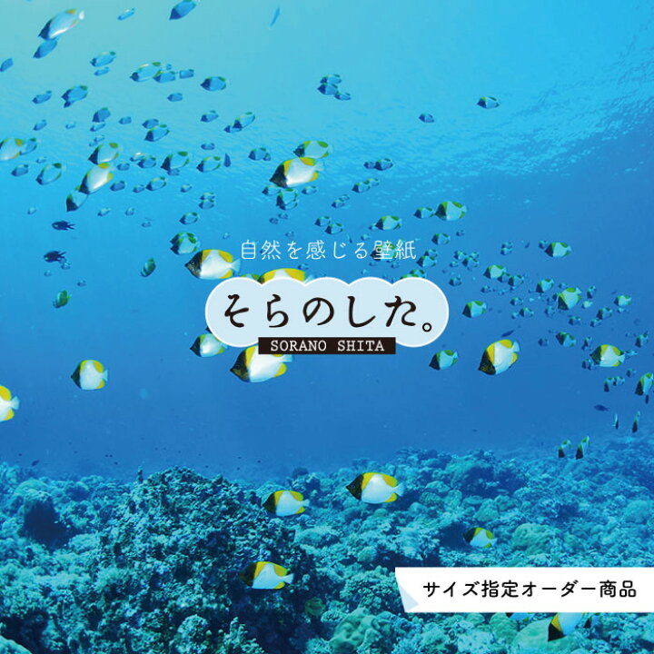 楽天市場 オーダー壁紙 壁紙 海の中 水中 ダイビング サンゴ 熱帯魚 サンゴ礁 写真 おしゃれ 自然 幻想的 貼りやすい デザイン 防カビ 日本製 国産 リメイク 模様替え 店舗 天井 部屋 寝室 キッチン リビング トイレ 風景 景色 ブルー かべがみはるこ そらのした