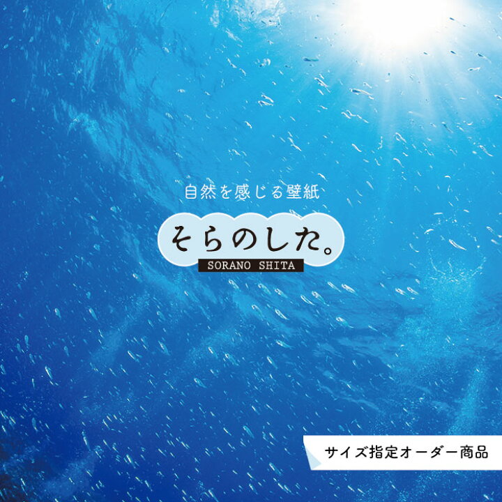楽天市場 オーダー壁紙 壁紙 海の中 水中 ダイビング サンゴ 熱帯魚 サンゴ礁 写真 おしゃれ 自然 幻想的 貼りやすい デザイン 防カビ 日本製 国産 リメイク 模様替え 店舗 天井 部屋 寝室 キッチン リビング トイレ 風景 景色 ブルー かべがみはるこ そらのした