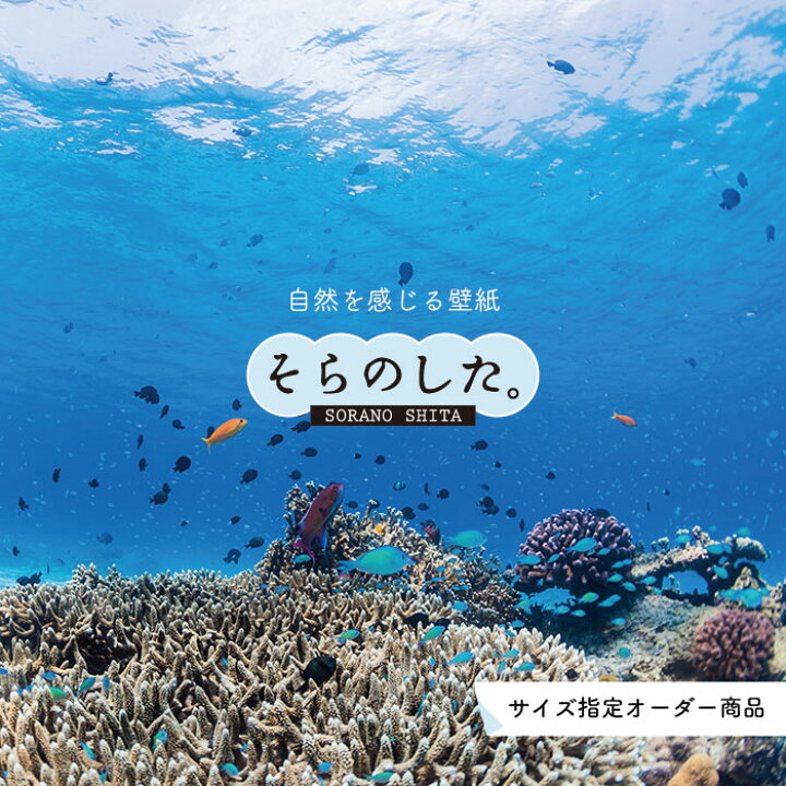 楽天市場 オーダー壁紙 壁紙 海の中 水中 ダイビング サンゴ 熱帯魚 サンゴ礁 写真 おしゃれ 自然 幻想的 貼りやすい デザイン 防カビ 日本製 国産 リメイク 模様替え 店舗 天井 部屋 寝室 キッチン リビング トイレ 風景 景色 ブルー かべがみはるこ そらのした