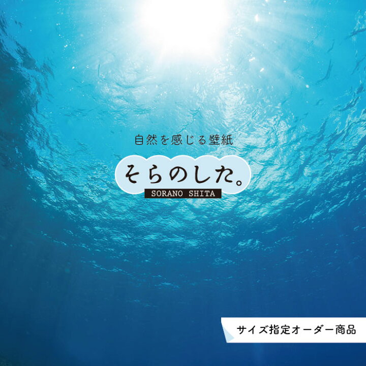 楽天市場 オーダー壁紙 壁紙 海の中 水中 ダイビング 水面 写真 おしゃれ 自然 幻想的 貼りやすい デザイン 防カビ 日本製 国産 リメイク 模様替え 店舗 天井 部屋 寝室 キッチン リビング トイレ 風景 景色 ブルー かべがみはるこ そらのした かべがみはるこの 楽天市場 オーダー壁紙 壁紙 海の中 水中 ダイビング 水面 写真 おしゃれ 自然 幻想的 貼りやすい デザイン 防カビ 日本製 国産 リメイク 模様替え 店舗 天井 部屋 寝室 キッチン リビング トイレ 風景 景色 ブルー かべがみはるこ そらのした かべがみはるこの