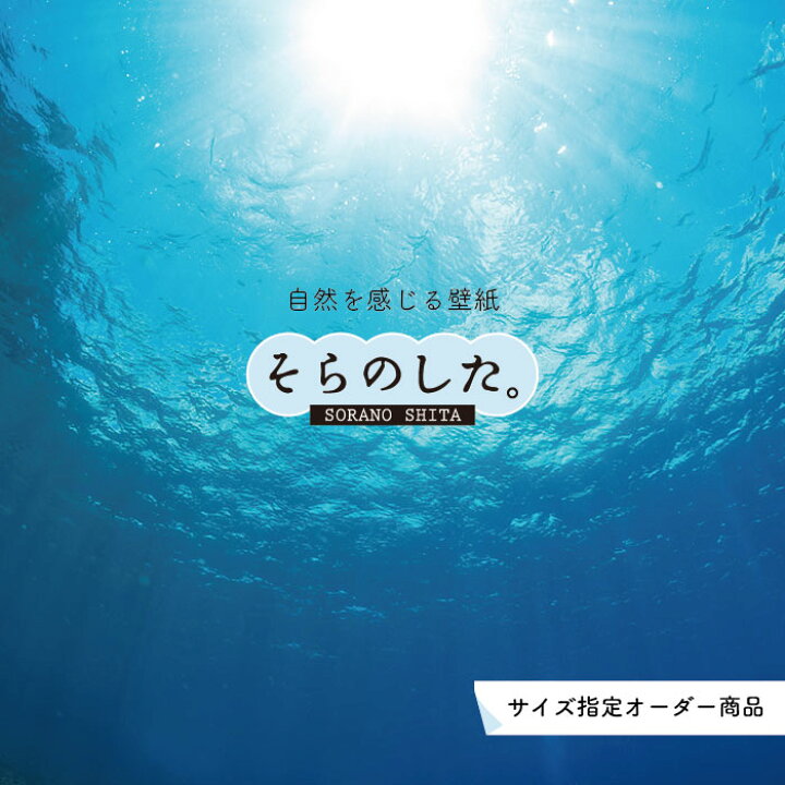 楽天市場 オーダー壁紙 壁紙 海の中 水中 ダイビング 水面 写真 おしゃれ 自然 幻想的 貼りやすい デザイン 防カビ 日本製 国産 リメイク 模様替え 店舗 天井 部屋 寝室 キッチン リビング トイレ 風景 景色 ブルー かべがみはるこ そらのした かべがみはるこの