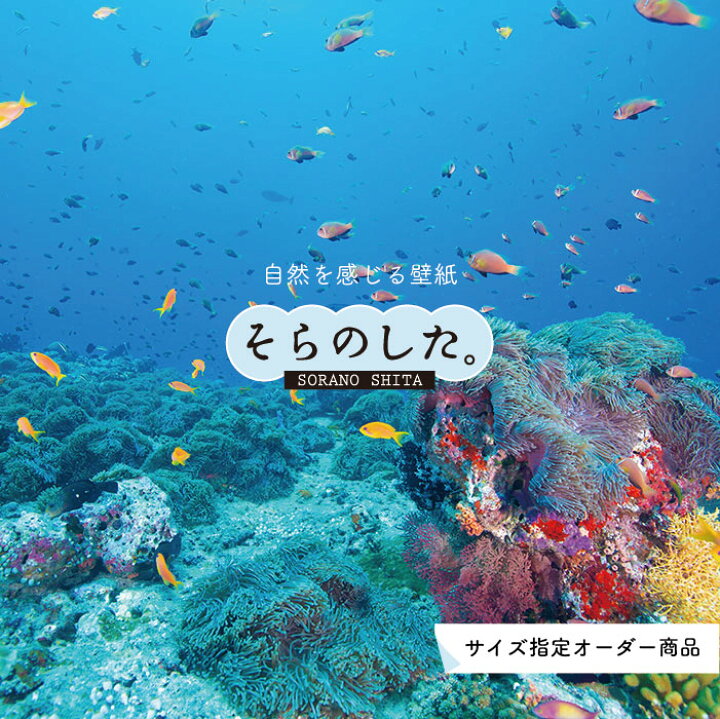 楽天市場 オーダー壁紙 壁紙 海の中 水中 ダイビング サンゴ 熱帯魚 サンゴ礁 写真 おしゃれ 自然 幻想的 貼りやすい デザイン 防カビ 日本製 国産 リメイク 模様替え 店舗 天井 部屋 寝室 キッチン リビング トイレ 風景 景色 ブルー かべがみはるこ そらのした