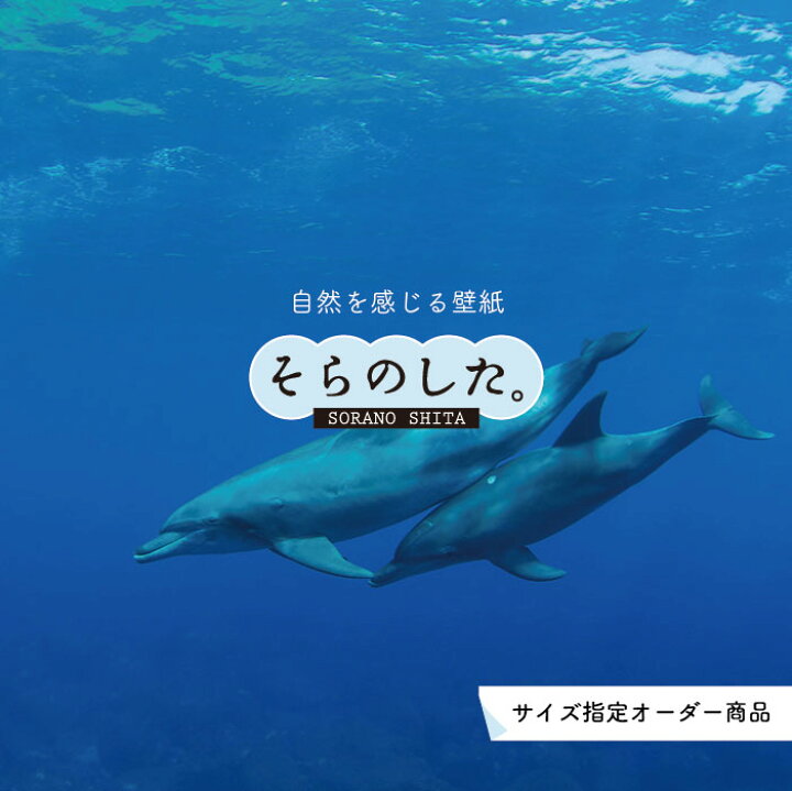 楽天市場 オーダー壁紙 壁紙 海の中 水中 ダイビング イルカ 海豚 写真 おしゃれ 自然 幻想的 貼りやすい デザイン 防カビ 日本製 国産 リメイク 模様替え 店舗 天井 部屋 寝室 キッチン リビング トイレ 風景 景色 ブルー かべがみはるこ そらのした かべがみは