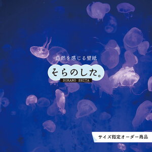 yI[_[ǎz ǎ C̒  _CrO NQ C ʐ^  R zI \₷ fUC hJr { Y CN ͗lւ X V  Q Lb` rO 