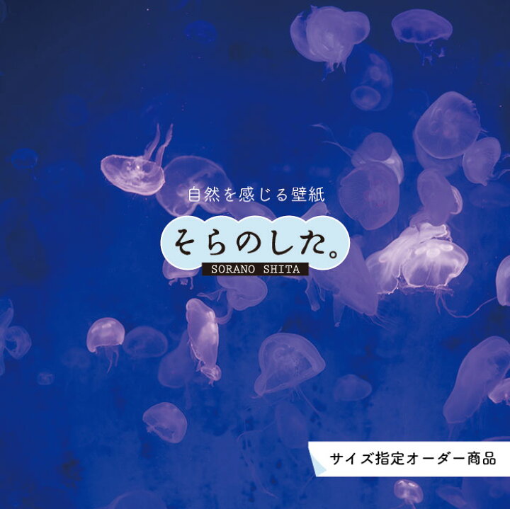 楽天市場 オーダー壁紙 壁紙 海の中 水中 ダイビング クラゲ 海月 写真 おしゃれ 自然 幻想的 貼りやすい デザイン 防カビ 日本製 国産 リメイク 模様替え 店舗 天井 部屋 寝室 キッチン リビング トイレ 風景 景色 ブルー かべがみはるこ そらのした かべがみは
