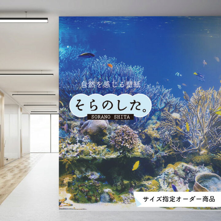 楽天市場 オーダー壁紙 壁紙 海の中 水中 ダイビング サンゴ 熱帯魚 サンゴ礁 写真 おしゃれ 自然 幻想的 貼りやすい デザイン 防カビ 日本製 国産 リメイク 模様替え 店舗 天井 部屋 寝室 キッチン リビング トイレ 風景 景色 ブルー かべがみはるこ そらのした 楽天市場 オーダー壁紙 壁紙 海の中 水中 ダイビング サンゴ 熱帯魚 サンゴ礁 写真 おしゃれ 自然 幻想的 貼りやすい デザイン 防カビ 日本製 国産 リメイク 模様替え 店舗 天井 部屋 寝室 キッチン リビング トイレ 風景 景色 ブルー かべがみはるこ そらのした