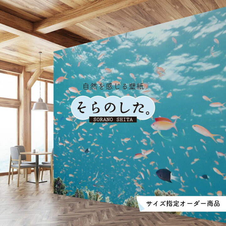 楽天市場 オーダー壁紙 壁紙 海の中 水中 ダイビング サンゴ 熱帯魚 サンゴ礁 写真 おしゃれ 自然 幻想的 貼りやすい デザイン 防カビ 日本製 国産 リメイク 模様替え 店舗 天井 部屋 寝室 キッチン リビング トイレ 風景 景色 ブルー かべがみはるこ そらのした