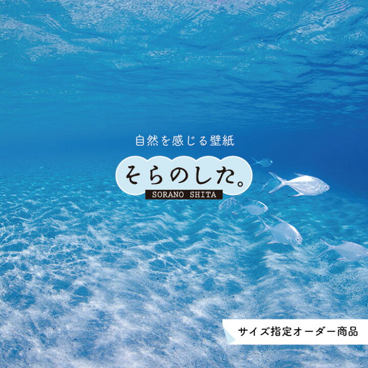 楽天市場 オーダー壁紙 壁紙 海の中 水中 ダイビング 熱帯魚 写真 おしゃれ 自然 幻想的 貼りやすい デザイン 防カビ 日本製 国産 リメイク 模様替え 店舗 天井 部屋 寝室 キッチン リビング トイレ 風景 景色 ブルー かべがみはるこ そらのした かべがみはる