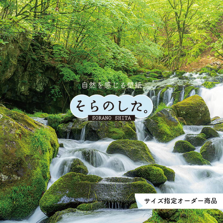 楽天市場 オーダー壁紙 壁紙 写真 川 渓流 おしゃれ 自然 涼しい 爽やか 貼りやすい デザイン 防カビ 日本製 国産 リメイク 模様替え 店舗 天井 部屋 寝室 キッチン リビング トイレ 風景 景色 グリーン かべがみはるこ そらのした Ss かべがみはるこの