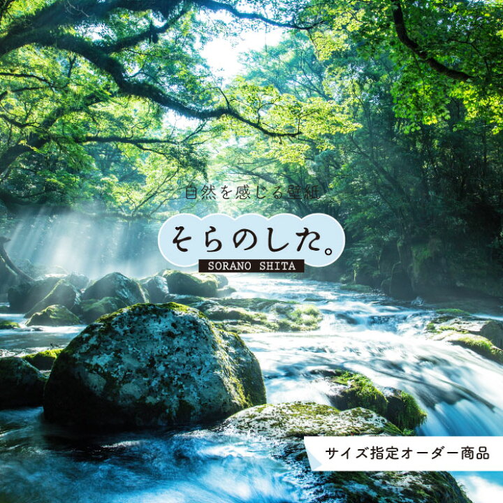 楽天市場 オーダー壁紙 壁紙 写真 川 渓流 おしゃれ 自然 涼しい 爽やか 貼りやすい デザイン 防カビ 日本製 国産 リメイク 模様替え 店舗 天井 部屋 寝室 キッチン リビング トイレ 風景 景色 グリーン かべがみはるこ そらのした Ss かべがみはるこの