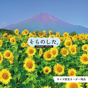 yI[_[ǎz ǎ xmR R  Ђ܂蔨 ʐ^ Y   R \₷ fUC hJr { Y CN ͗lւ X  a Q Lb` rO gC