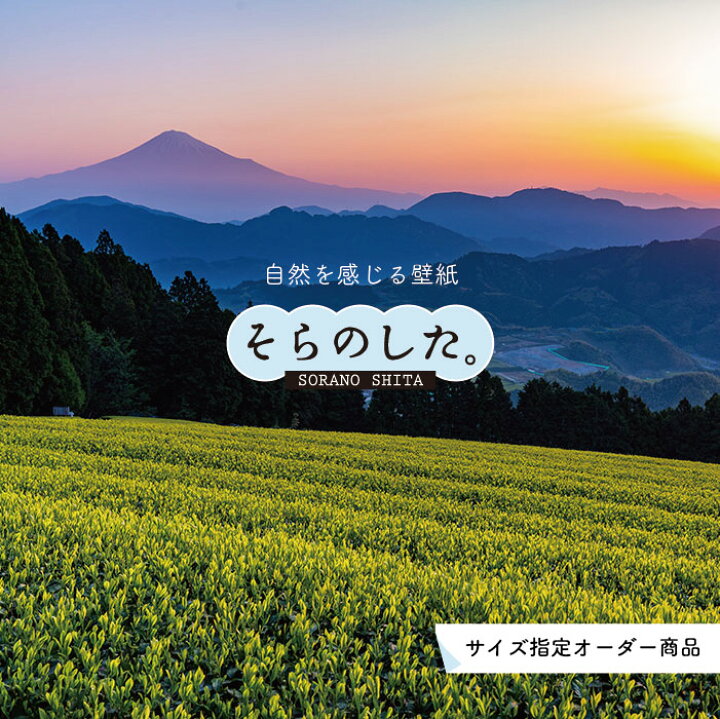 楽天市場】【オーダー壁紙】 壁紙 富士山 山 茶畑 茶葉 写真 綺麗 