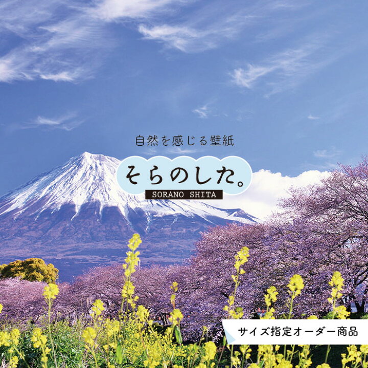 楽天市場 オーダー壁紙 壁紙 富士山 山 空 桜 菜の花 写真 綺麗 おしゃれ 美しい 自然 貼りやすい デザイン 防カビ 日本製 国産 リメイク 模様替え 店 部屋 和室 寝室 キッチン リビング トイレ 風景 景色 かべがみはるこ そらのした かべがみはるこの壁紙工場 楽天市場 オーダー壁紙 壁紙 富士山 山 空 桜 菜の花 写真 綺麗 おしゃれ 美しい 自然 貼りやすい デザイン 防カビ 日本製 国産 リメイク 模様替え 店 部屋 和室 寝室 キッチン リビング トイレ 風景 景色 かべがみはるこ そらのした かべがみはるこの壁紙工場