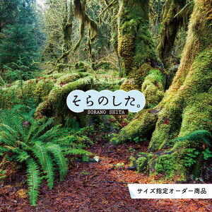 yI[_[ǎz ǎ WO X X ʐ^  R  \₷ fUC hJr { Y CN ͗lւ X V  Q Lb` rO gC i iF O
